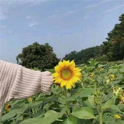 国足主帅邵佳一：国家队没友谊赛