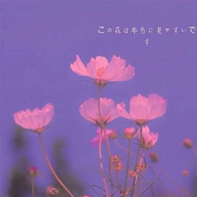 食品饮料ETF华宝（515710）涨0.92%，成交额2828.23万元