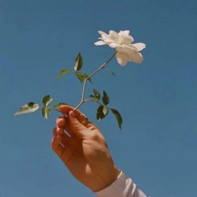 中国神华股价连续3天下跌累计跌幅5.07%,嘉合基金旗下1只基金持3.06万股,浮亏损失7.68万元