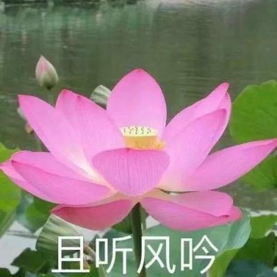 普京发现女士没酒杯后让出自己的