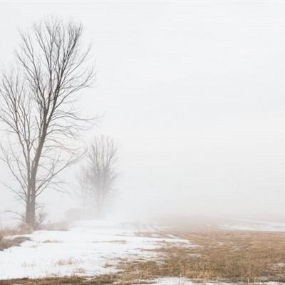 美方被曝正酝酿对伊朗“最后一击”