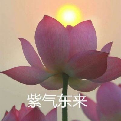 美国银行恢复了对甲骨文公司的评级，给予“买入”评级和200美元的目标价。